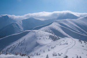 Widoki z Grzesia